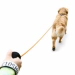 Orange Reflective Nylon Dog Leash with Padded Handle - Image 3