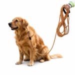 Orange Reflective Nylon Dog Leash with Padded Handle - Image 4