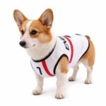 Various Country Football Team Dog Jersey with Number - Image 3