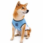 Various Country Football Team Dog Jersey with Number - Image 4