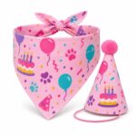 Pink Birthday Bandana and Hat Set for Pets