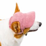 Ribbed Corduroy Ear-Hole Dog Hat - Image 2