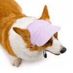 Ribbed Corduroy Ear-Hole Dog Hat - Image 4