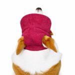 Ribbed Corduroy Ear-Hole Dog Hat - Image 5