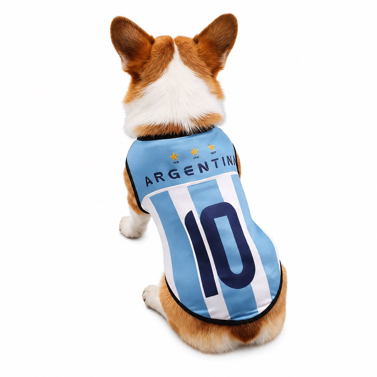 Pet Soccer Jersey Vest Teddy Pomeranian Bichon Puppy Dog Clothes Cat Pet National Team Apparel Thin Light Blue Argentina Soccer Jersey Dog Vest - Image 1