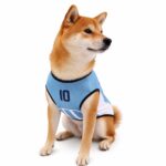 Light Blue Argentina Soccer Jersey Dog Vest - Image 2