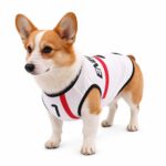 Light Blue Argentina Soccer Jersey Dog Vest - Image 3