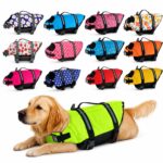 Dog Life Jacket with Adjustable Straps & Top Handle