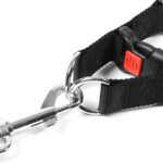 Metal Chain Dog Collar with Black-Tipped Links and Adjustable Webbing - Image 3