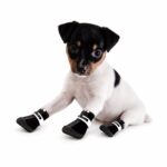 Zippered Dog Shoes with Breathable Mesh & Rubber Soles - Image 3