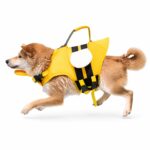 Bee-Themed Dog Life Jacket with Reflective Handle - Image 3