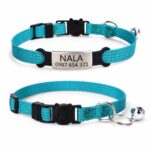 Cat Collar with Cat Face Buckle, Bell, and ID Tag