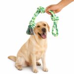 Colorful Multi-Knotted Cotton Rope Dog Chew Toy - Image 2