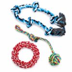 Assorted Cotton Rope Knot Dog Toys - Image 2
