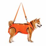 Dog Mobility Support Harness with Adjustable Straps - Image 2
