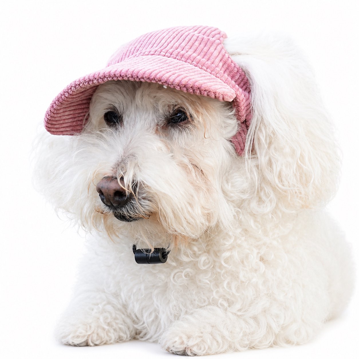 Pet Birthday Bandana And Party Hat Set Corduroy Dog Visor Hat - Image 1
