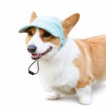 Corduroy Dog Visor Hat - Image 2