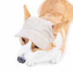 Corduroy Dog Visor Hat - Image 3