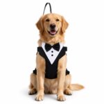 Tuxedo-Style Dog Harness with Bow Tie - Image 3