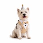 Tuxedo-Style Dog Harness with Bow Tie - Image 4