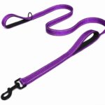 Padded Handle Reflective Stitched Dog Leash