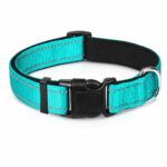Reflective Stitch Adjustable Nylon Dog Collar