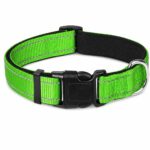 Reflective Stitch Adjustable Nylon Dog Collar - Image 2