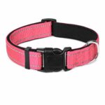Reflective Stitch Adjustable Nylon Dog Collar - Image 4