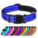 Reflective Stitch Adjustable Nylon Dog Collar - Image 5