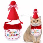 Cat Birthday Bib with Party Hat - Image 2