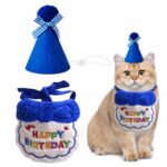 Cat Birthday Bib with Party Hat - Image 3