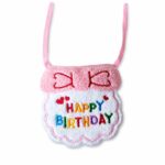 Cat Birthday Bib with Party Hat - Image 5