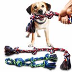 Multi-Knot Braided Cotton Dog Chew Toy - Image 2