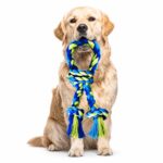 Multi-Knot Braided Cotton Dog Chew Toy - Image 4