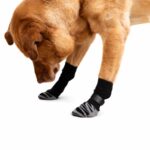 Non-Slip Adjustable Dog Socks with Zebra-Print Soles - Image 2