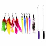Plush Worm & Feather Interchangeable Cat Wand Toy Set