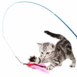 Colorful Feather Cat Wand Toy with Bells - Image 5