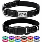 Nylon Engravable Dog Collar with Metal ID Tag - Image 2