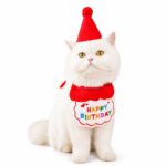 Pet Birthday Bandana And Party Hat Set - Image 2
