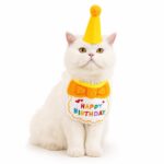 Pet Birthday Bandana And Party Hat Set - Image 3