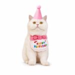 Pet Birthday Bandana And Party Hat Set - Image 4
