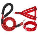 Red Braided Reflective Nylon Dog Leash with Padded Handle