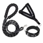 Red Braided Reflective Nylon Dog Leash with Padded Handle - Image 3