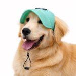 Breathable Mesh Pet Hat with Ear Holes - Image 2