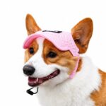 Breathable Mesh Pet Hat with Ear Holes - Image 3