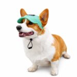 Breathable Mesh Pet Hat with Ear Holes - Image 4