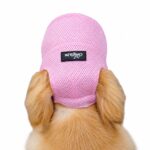 Breathable Mesh Pet Hat with Ear Holes - Image 5