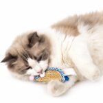 Assorted Woven Feather Cat Toy Set - Image 3