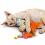 Assorted Woven Feather Cat Toy Set - Image 4