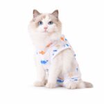 Cat Recovery Suit with Fish & Starfish Print